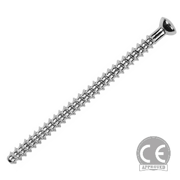 Screw fixation radiograph